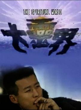 大灵界粤语海报