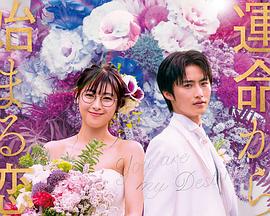 命中注定我爱你2020日版海报