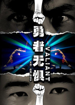 勇者无惧2009海报