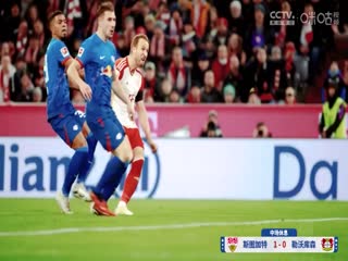 德甲联赛 斯图加特VS勒沃库森 20250317海报