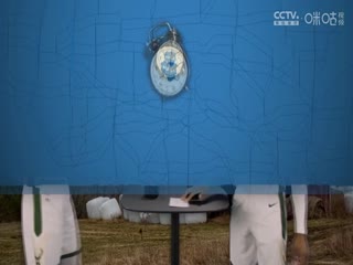 NBA常规赛 步行者VS雄鹿 20250316海报