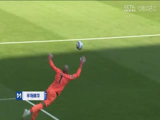 英超联赛 切尔西VS莱斯特城 20250309海报