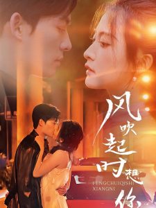 风吹起时想你海报