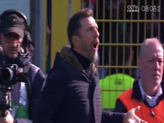 意甲联赛 科莫VS威尼斯 20250308海报