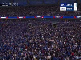 中超联赛 上海申花VS北京国安 20250301海报