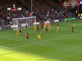 足总杯第五轮比赛 伯恩茅斯VS狼队 20250301海报