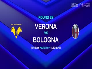 意甲联赛 博洛尼亚VS卡利亚里 20250302海报