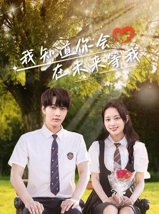 我知道你会在未来等我海报