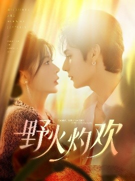 野火灼欢海报