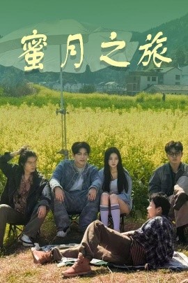 蜜月之旅海报