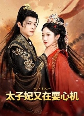 太子妃又在耍心机海报