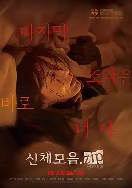 身体集合.zip海报