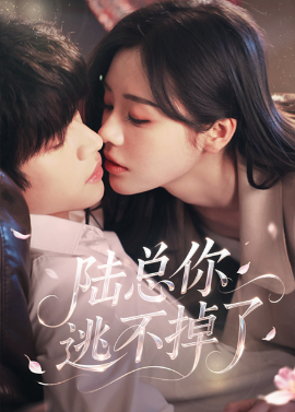 陆总你逃不掉了＆爱意难逃海报