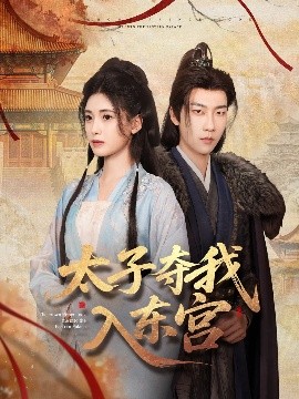 太子夺我入东宫海报