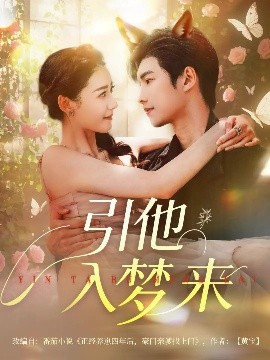 引他入梦来海报