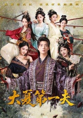 大夏第一夫海报