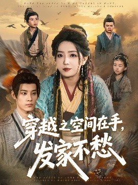 穿越之空间在手，发家不愁海报
