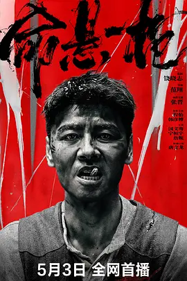 命悬一枪（炸裂川话版）海报