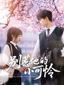 别惹他的小可怜海报