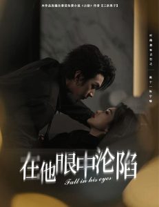 在他眼中沦陷海报