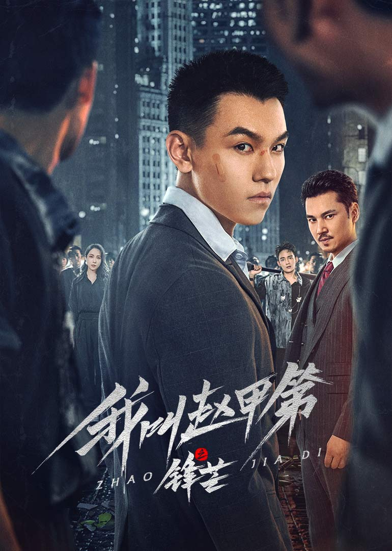 我叫赵甲第之锋芒海报