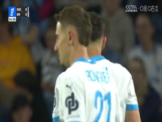 法甲联赛 勒阿弗尔VS马赛 20250511海报