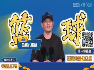 德甲联赛 勒沃库森VS多特蒙德 20250511海报