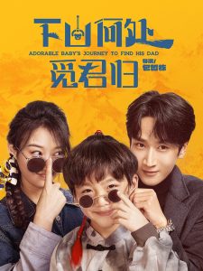 下山何处觅君归海报