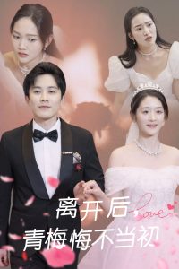 离开后青梅悔不当初海报