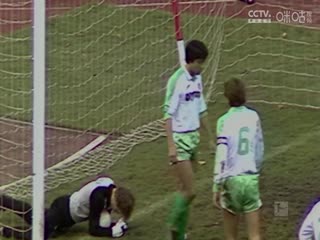 德甲联赛 海登海姆VS波鸿 20250503海报