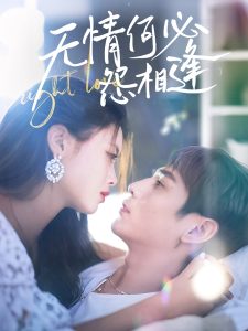 无情何必怨相逢海报
