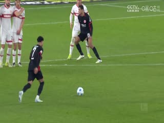 德甲联赛 门兴格拉德巴赫VS霍芬海姆 20250503海报