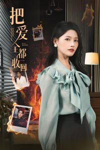 把爱全都收回海报