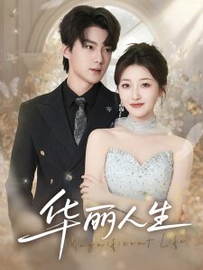 华丽人生海报