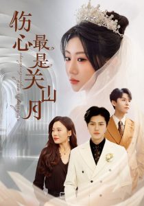 伤心最是关山月海报