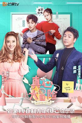 真心大冒险悄悄话版海报