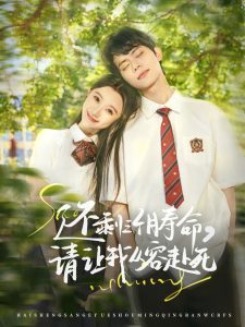 还剩三个月寿命，请让我从容赴死海报