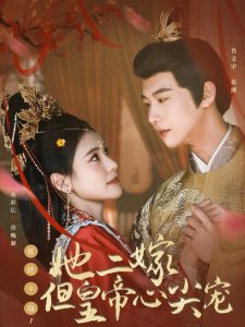 惹她干嘛，她二嫁但皇帝心尖宠海报