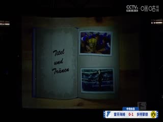 德甲联赛 霍芬海姆VS多特蒙德 20250426海报