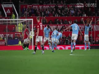 英超联赛 莱斯特城VS纽卡斯尔联 20250408海报