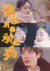 谁也别想动我妈海报