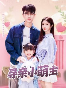 寻亲小萌主海报