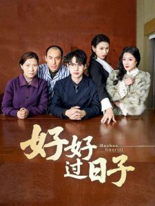 好好过日子短剧海报