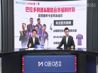 西甲联赛 马德里竞技VS巴拉多利德 20250415海报