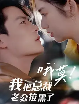 哦莫我把总裁老公拉黑了海报