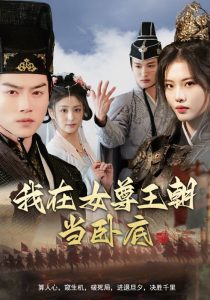 我在女尊王朝当卧底海报