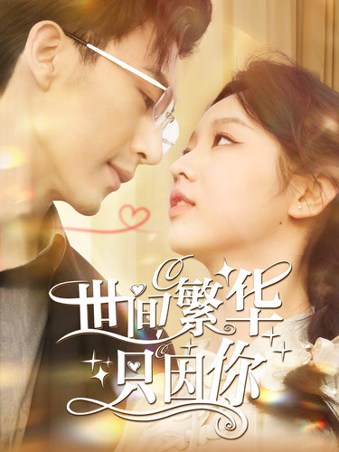 世间繁华只因你海报