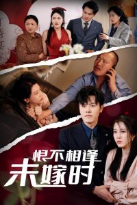 恨不相逢未嫁时30集海报