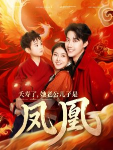 夭寿了她老公儿子是凤凰海报