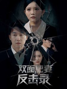 双面肥妻反击录海报